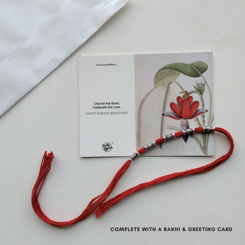 Hasi mazaak- Threads of togetherness rakhi box